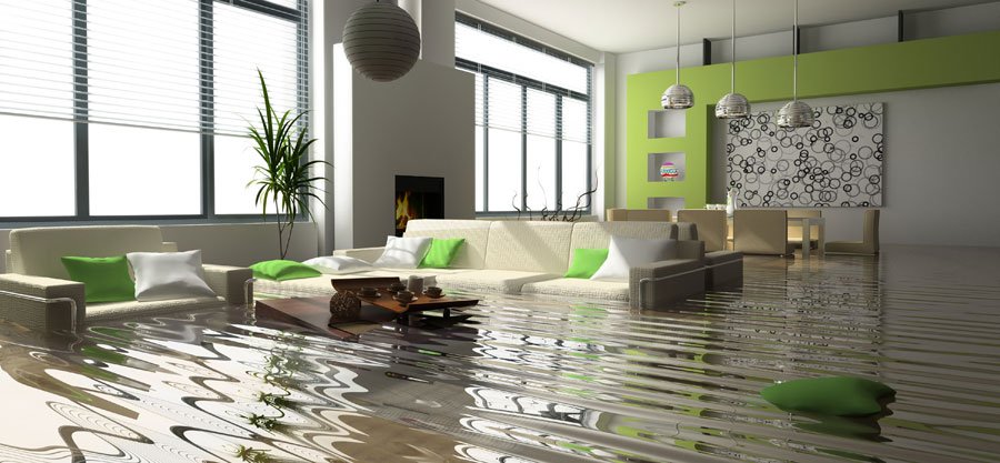 Professional Water Damage Restoration